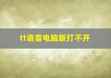 tt语音电脑版打不开