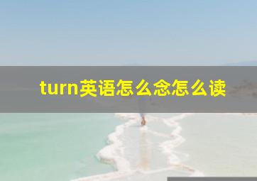 turn英语怎么念怎么读