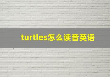 turtles怎么读音英语