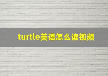 turtle英语怎么读视频