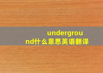 underground什么意思英语翻译