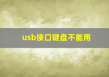 usb接口键盘不能用