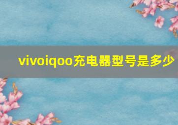 vivoiqoo充电器型号是多少