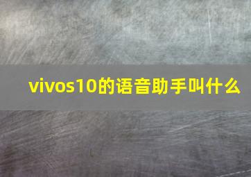 vivos10的语音助手叫什么