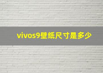 vivos9壁纸尺寸是多少