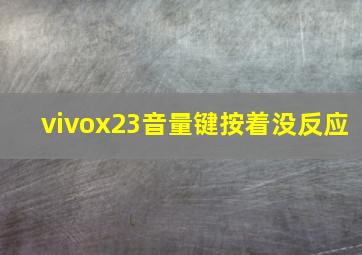 vivox23音量键按着没反应