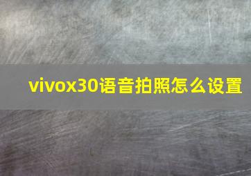 vivox30语音拍照怎么设置