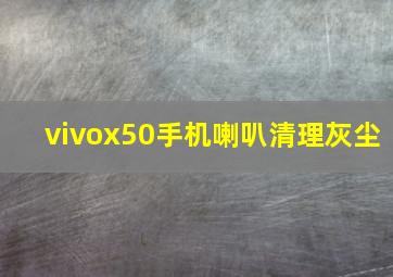 vivox50手机喇叭清理灰尘