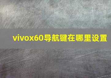 vivox60导航键在哪里设置