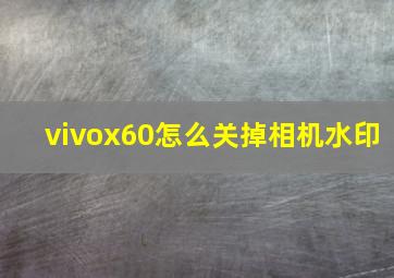 vivox60怎么关掉相机水印