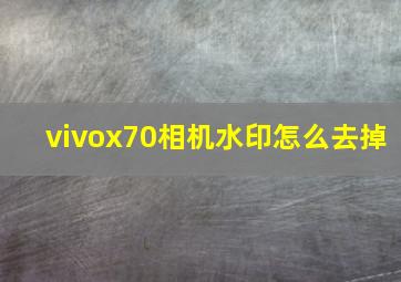 vivox70相机水印怎么去掉