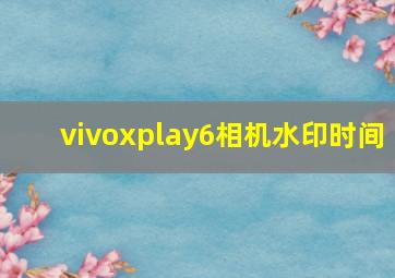 vivoxplay6相机水印时间