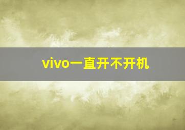 vivo一直开不开机