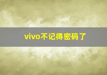 vivo不记得密码了