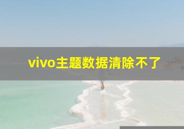 vivo主题数据清除不了