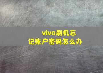 vivo刷机忘记账户密码怎么办