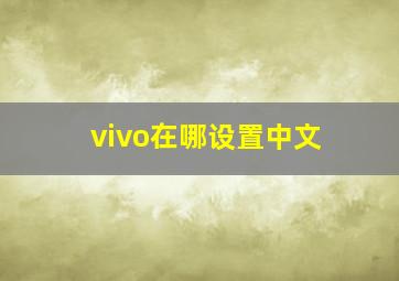 vivo在哪设置中文