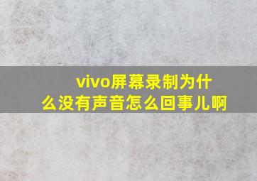 vivo屏幕录制为什么没有声音怎么回事儿啊