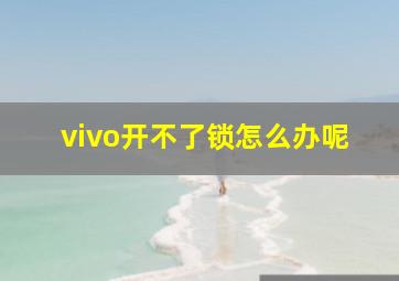 vivo开不了锁怎么办呢