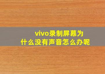 vivo录制屏幕为什么没有声音怎么办呢