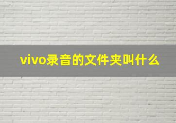 vivo录音的文件夹叫什么