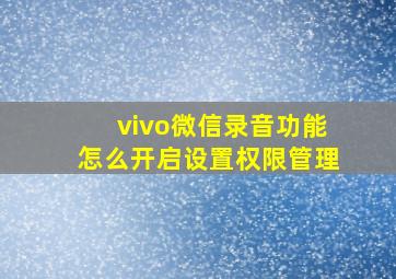 vivo微信录音功能怎么开启设置权限管理