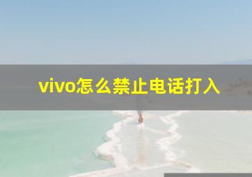 vivo怎么禁止电话打入