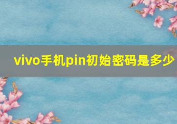 vivo手机pin初始密码是多少