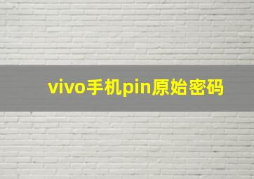 vivo手机pin原始密码