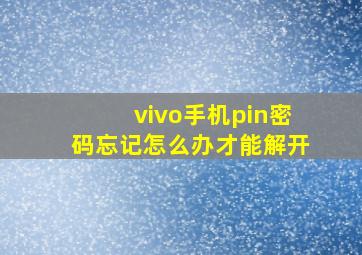 vivo手机pin密码忘记怎么办才能解开