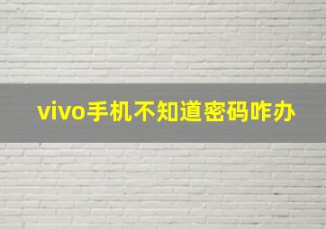 vivo手机不知道密码咋办