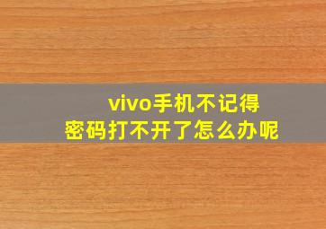 vivo手机不记得密码打不开了怎么办呢