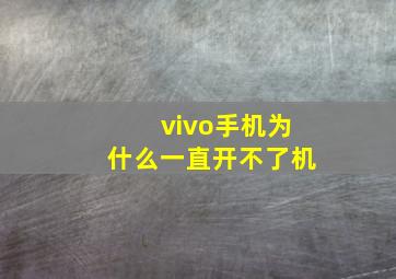 vivo手机为什么一直开不了机