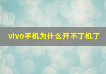 vivo手机为什么开不了机了