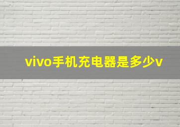 vivo手机充电器是多少v