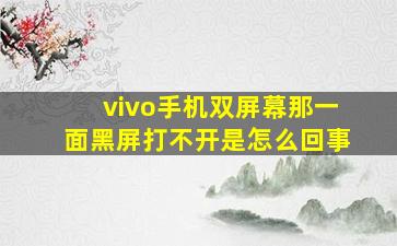 vivo手机双屏幕那一面黑屏打不开是怎么回事