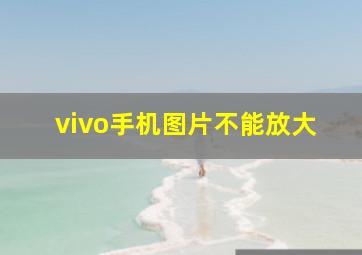 vivo手机图片不能放大