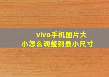 vivo手机图片大小怎么调整到最小尺寸