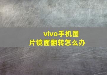 vivo手机图片镜面翻转怎么办