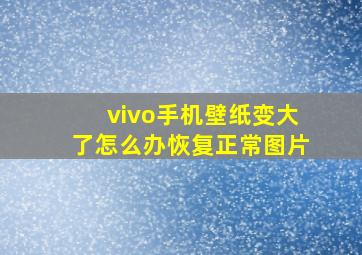 vivo手机壁纸变大了怎么办恢复正常图片