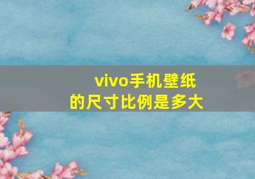 vivo手机壁纸的尺寸比例是多大