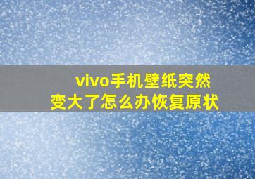 vivo手机壁纸突然变大了怎么办恢复原状