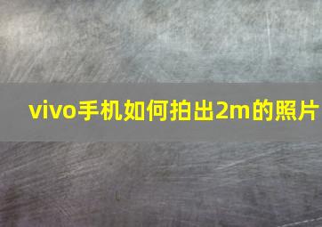 vivo手机如何拍出2m的照片