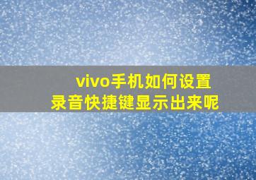 vivo手机如何设置录音快捷键显示出来呢