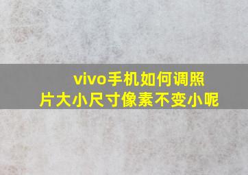 vivo手机如何调照片大小尺寸像素不变小呢