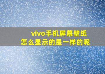 vivo手机屏幕壁纸怎么显示的是一样的呢