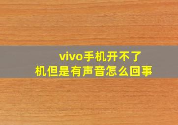 vivo手机开不了机但是有声音怎么回事