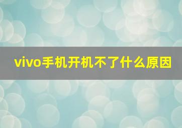 vivo手机开机不了什么原因