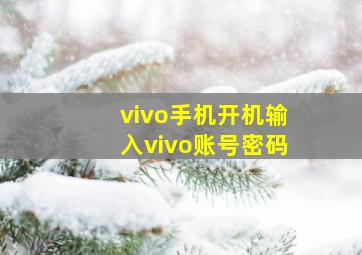 vivo手机开机输入vivo账号密码