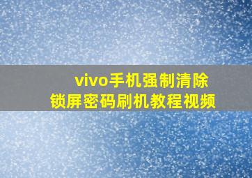 vivo手机强制清除锁屏密码刷机教程视频